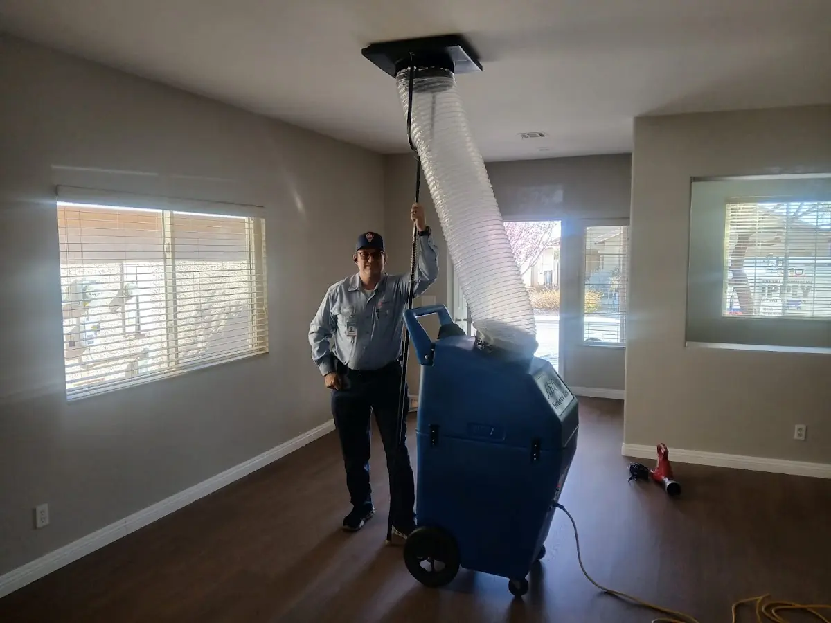 Professional Dryer Vent Cleaning work inside a East Highland Park home